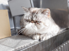 DSCF0677.JPG