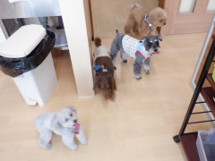 DSCF0695.JPG