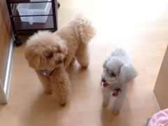 DSCF0683.JPG