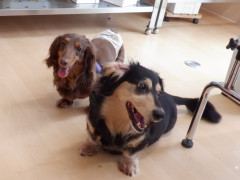 DSCF0698.JPG