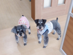 DSCF0681.JPG