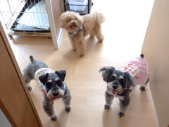DSCF0686.JPG