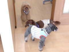 DSCF0693.JPG