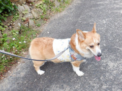 DSCF0703.JPG