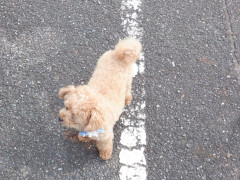 DSCF0724.JPG