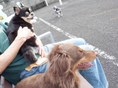 DSCF0730.JPG