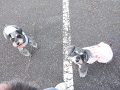 DSCF0723.JPG