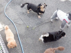 DSCF0713.JPG