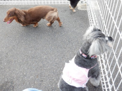 DSCF0717.JPG