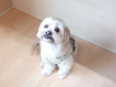 DSCF0737.JPG