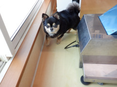 DSCF0747.JPG