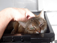 DSCF0752.JPG