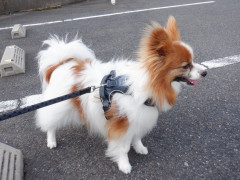 DSCF0749.JPG