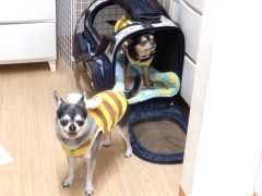 DSCF0767.JPG