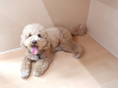 DSCF0770.JPG