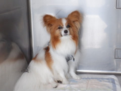DSCF0784.JPG