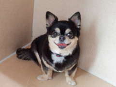DSCF0787.JPG