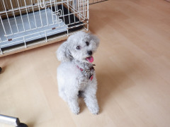 DSCF0795.JPG