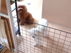 DSCF0796.JPG