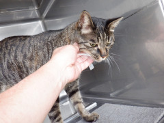 DSCF0799.JPG