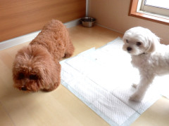DSCF0807.JPG