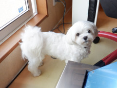DSCF0812.JPG