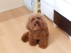 DSCF0814.JPG