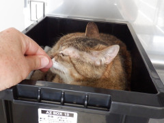 DSCF0815.JPG