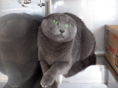 DSCF0825.JPG