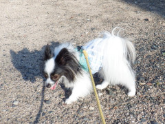 DSCF0829.JPG