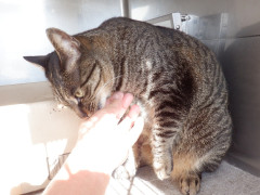 DSCF0840.JPG
