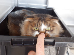 DSCF0845.JPG