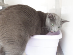 DSCF0846.JPG