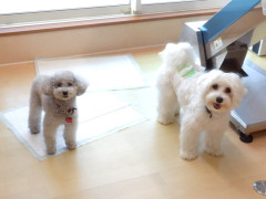 DSCF0855.JPG