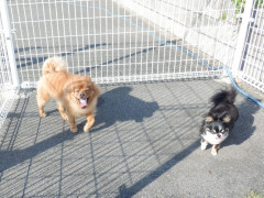 DSCF0884.JPG