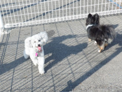 DSCF0885.JPG
