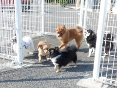 DSCF0893.JPG