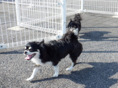 DSCF0897.JPG