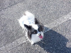 DSCF0880.JPG