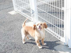 DSCF0881.JPG