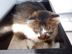 DSCF0872.JPG