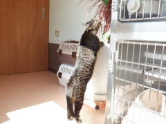 DSCF0907.JPG