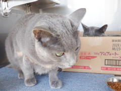 DSCF0918.JPG