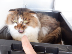DSCF0920.JPG