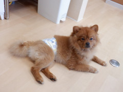 DSCF0951.JPG