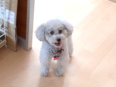 DSCF0954.JPG