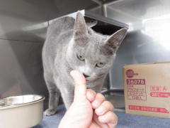 DSCF0960.JPG