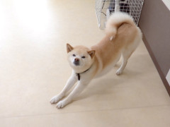 DSCF0977.JPG