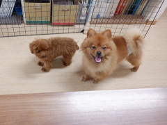 DSCF0993.JPG
