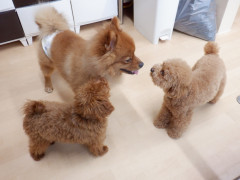 DSCF1013.JPG
